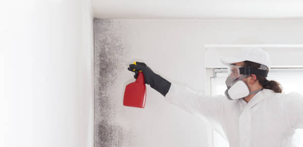 Crawl Space Mold Removal in Cool Valley, MO
